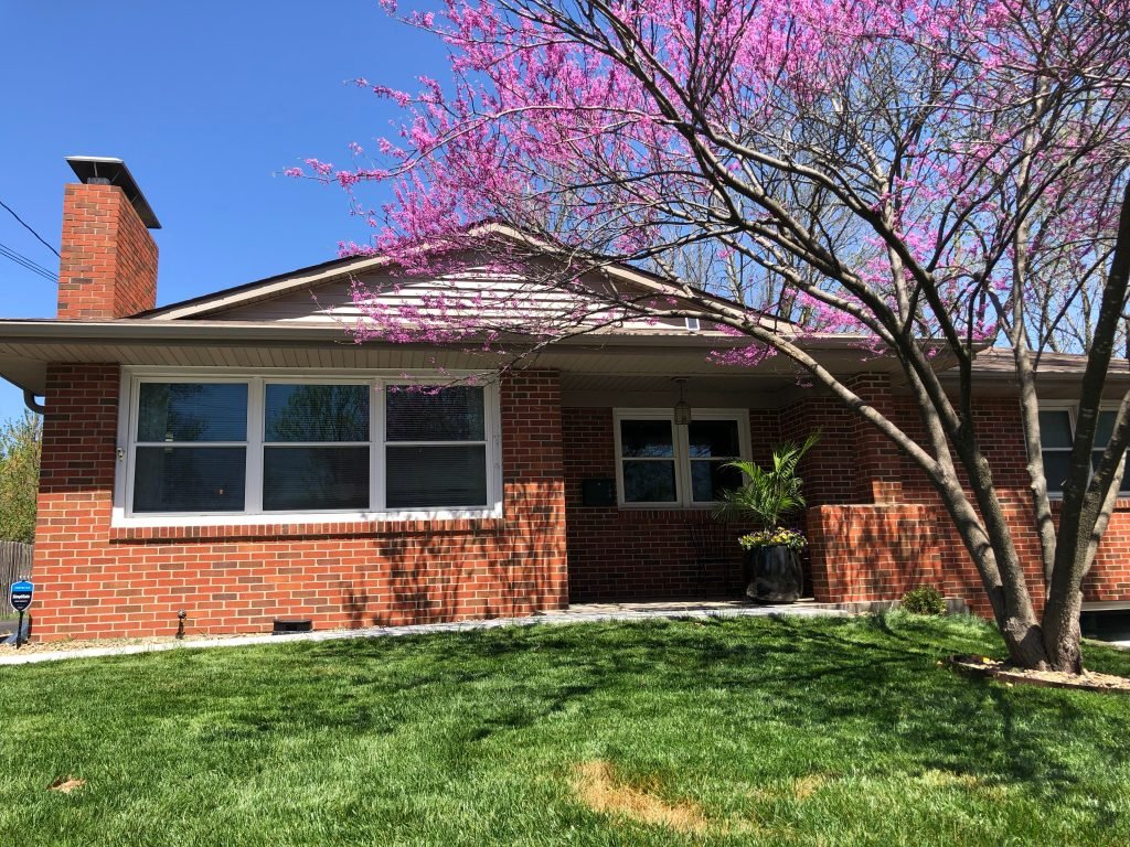 red brick home with blooming tree in spring
